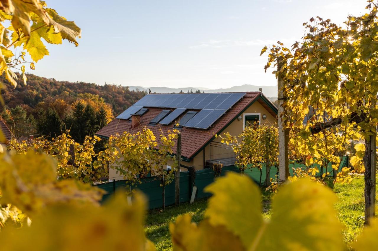 Weinberghaus Am Burgstallkogel Leibnitz Exterior foto